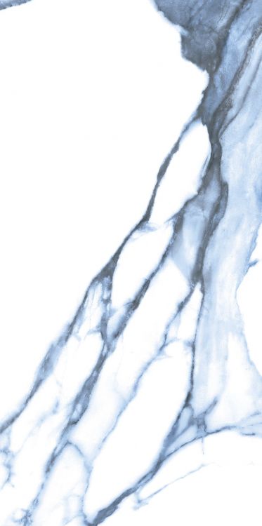 Calacatta Blue Polished 12 x 24